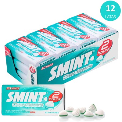 SMINT TIN 2HORAS MENTA INTENSA 12U